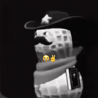 A Peanut Wearing A Cowboy Hat And Scarf Holds A Book GIF