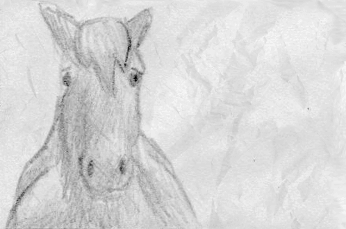 A Pencil Drawing Of A Horse 'S Head On A Piece Of Crumpled Paper GIF