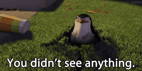A Penguin In A Hole With The Words " You Did N't See Anything " Below It GIF