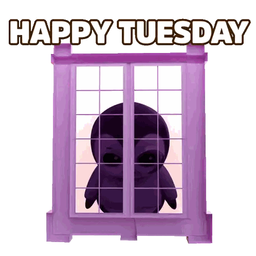 A Penguin Is Looking Out Of An Open Window With The Words Happy Tuesday Written Above It Sticker