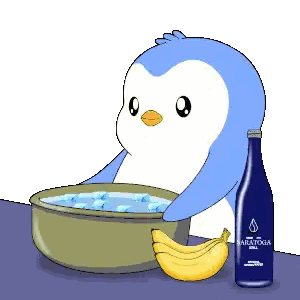 A Penguin Is Sitting In A Bowl Of Water Next To A Banana And A Bottle Of Saratoga Vodka Sticker