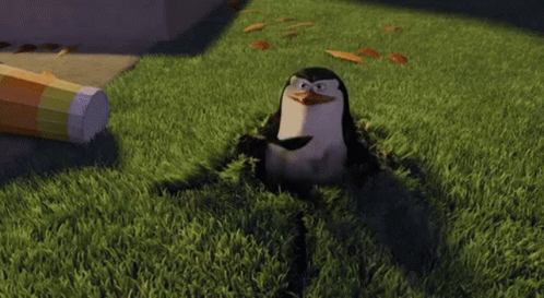 A Penguin Is Sitting In The Grass With A Pencil In Its Mouth . GIF
