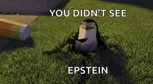 A Penguin Is Sitting In The Grass With The Words You Did N't See Epstein Above It . GIF
