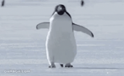 A Penguin Is Standing In The Snow With Its Wings Outstretched . GIF