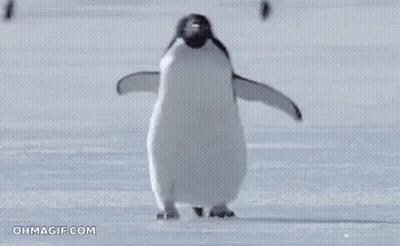A Penguin Is Standing On Top Of A Snow Covered Surface . GIF