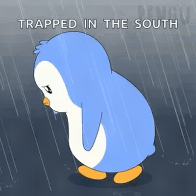 A Penguin Is Trapped In The South In The Rain GIF