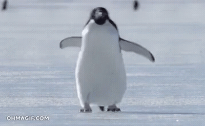 A Penguin Is Walking Across A Snowy Field With The Website Ohmagif.com In The Background GIF