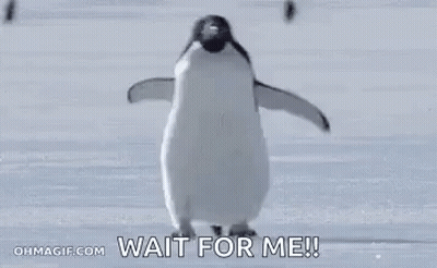 A Penguin Is Walking In The Snow And Says `` Wait For Me '' . GIF