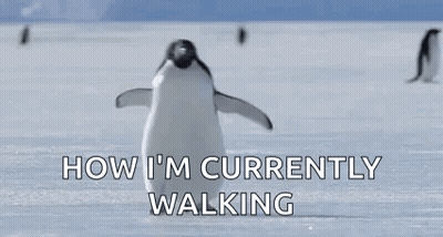 A Penguin Is Walking On Top Of A Snow Covered Field With The Words `` How I 'M Currently Walking '' . GIF