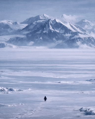 A Penguin Is Walking Through A Snowy Field With Mountains In The Background GIF