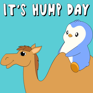 A Penguin Riding On The Back Of A Camel With The Words It 'S Hump Day GIF