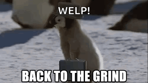 A Penguin Wearing A Hat And Carrying A Briefcase Is Standing In The Snow . GIF