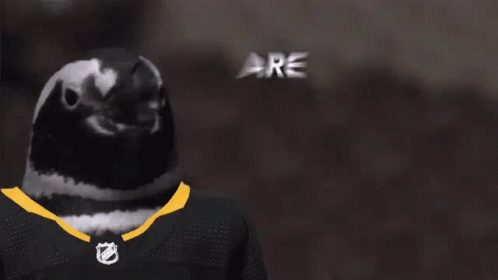 A Penguin Wearing A Jersey That Says ' Are You Ready ' GIF