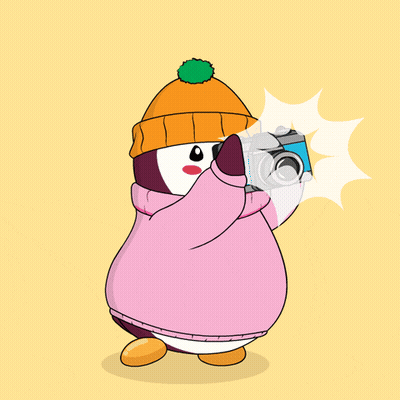 A Penguin Wearing A Pink Sweater And An Orange Hat Is Taking A Picture GIF