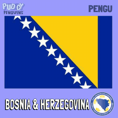 A Penguin Wearing A Shirt That Says Bosnia And Herzegovina Is Holding A Soccer Ball GIF
