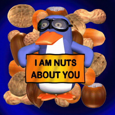 A Penguin Wearing Goggles Holds A Sign That Says I Am Nuts About You GIF