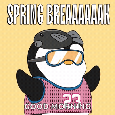 A Penguin Wearing Sunglasses And A Jersey With The Number 23 GIF