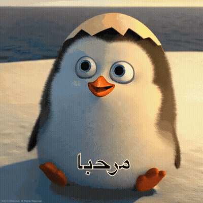 A Penguin With Arabic Writing On It 'S Head GIF