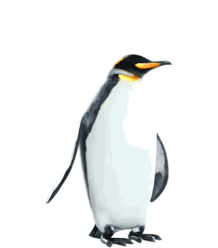 A Penguin With Its Wings Outstretched And A Yellow Beak Sticker