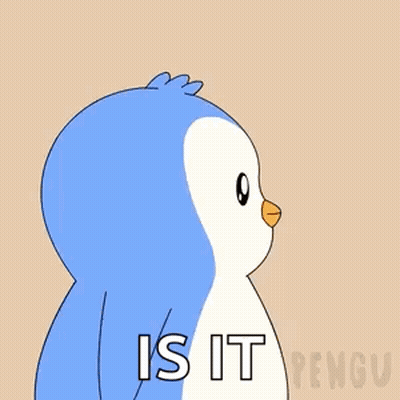 A Penguin With The Words What Is It On Its Face GIF