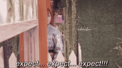 A Person Behind A Fence Says Expect Expect Expect GIF