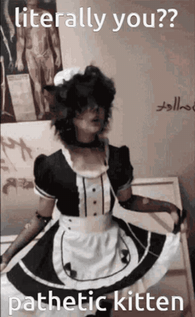 A Person Dressed As A Maid With The Words Literally You Pathetic Kitten Written On The Bottom GIF