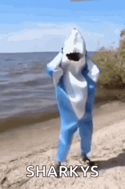A Person Dressed As A Shark Is Standing On The Beach . GIF