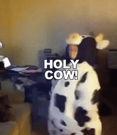 A Person Dressed In A Cow Costume With The Words Holy Cow On The Bottom GIF