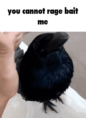A Person Holding A Black Bird With The Words You Cannot Rage Bait Me On The Bottom GIF