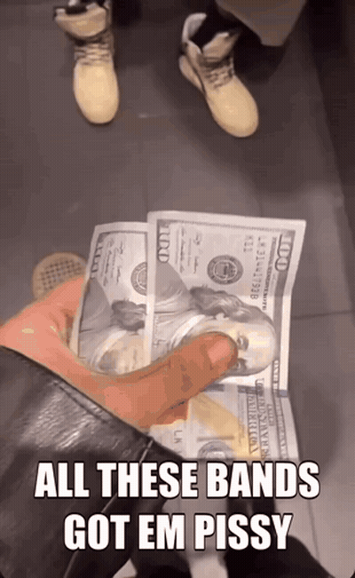 A Person Holding A Bunch Of 100 Dollar Bills With A Caption That Says All These Bands Got Em Pissy GIF