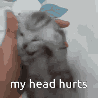 A Person Holding A Cat With The Words " My Head Hurts " Written On It GIF