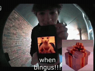 A Person Holding A Cell Phone With A Picture Of A Hamster On It And The Words " When Bingus " GIF