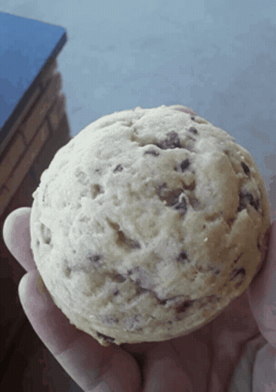 A Person Holding A Cookie In Their Hand With Chocolate Chips On It GIF
