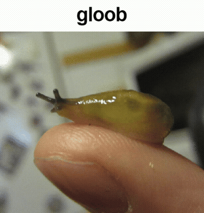 A Person Holding A Small Snail On Their Finger With The Word Gloob Below It GIF