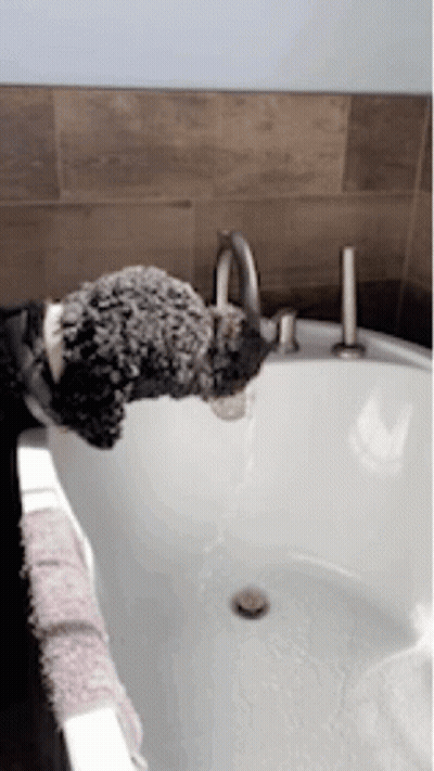 A Person Holding A Stuffed Animal Over A Bathtub GIF