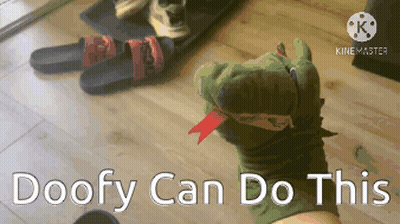 A Person Holding A Stuffed Animal With The Words Doofy Can Do This Written On The Bottom GIF