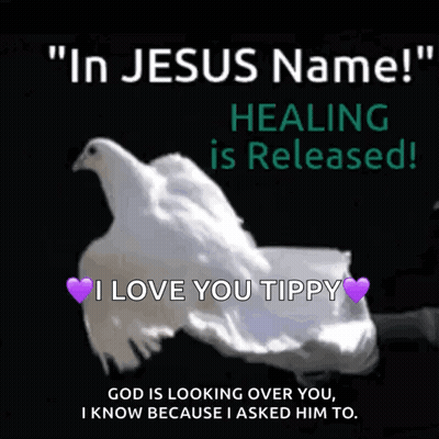A Person Holding A White Dove With The Words " In Jesus Name Healing Is Released ! " GIF