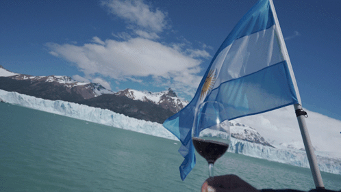 A Person Holds A Glass Of Wine In Front Of A Flag GIF