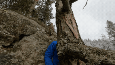A Person In A Blue Jacket Climbs Up A Rocky Slope Next To A Tree GIF