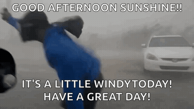 A Person In A Blue Shirt Is Standing In Front Of A White Car In A Foggy Day . GIF
