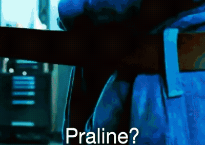 A Person In A Blue Suit Is Holding A Piece Of Wood And Asking " Praline " . GIF