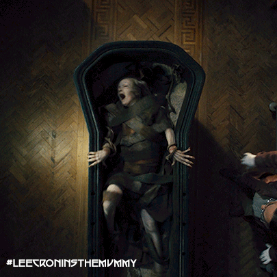 A Person In A Coffin With The Hashtag #Leerroninthemummy On The Bottom GIF