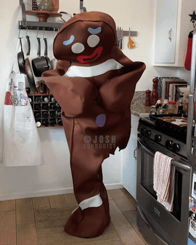 A Person In A Gingerbread Man Costume Is Standing In A Kitchen By A Stove GIF