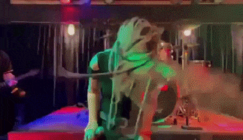 A Person In A Green Costume Is Standing In A Dark Room . GIF