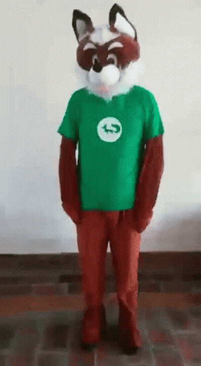 A Person In A Raccoon Costume Is Wearing A Green Shirt GIF