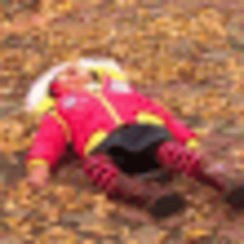 A Person In A Red Jacket Is Laying On The Ground In A Pile Of Leaves . GIF