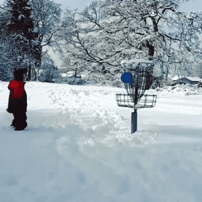 A Person In A Red Jacket Stands In The Snow Near A Frisbee Golf Basket GIF