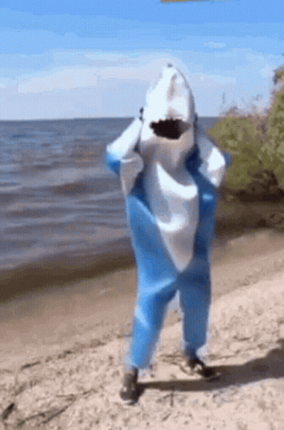A Person In A Shark Costume Is Standing On A Beach Near The Water . GIF