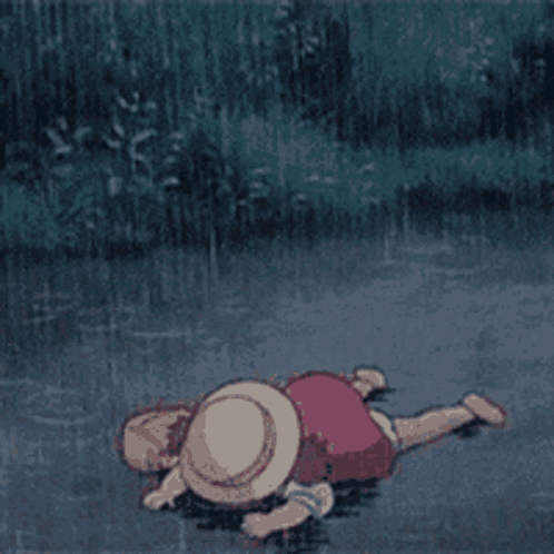 A Person In A Straw Hat Is Laying On The Ground In The Water GIF
