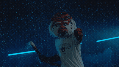A Person In A Tiger Costume Is Wearing A Shirt That Says ' Bengals ' On It GIF